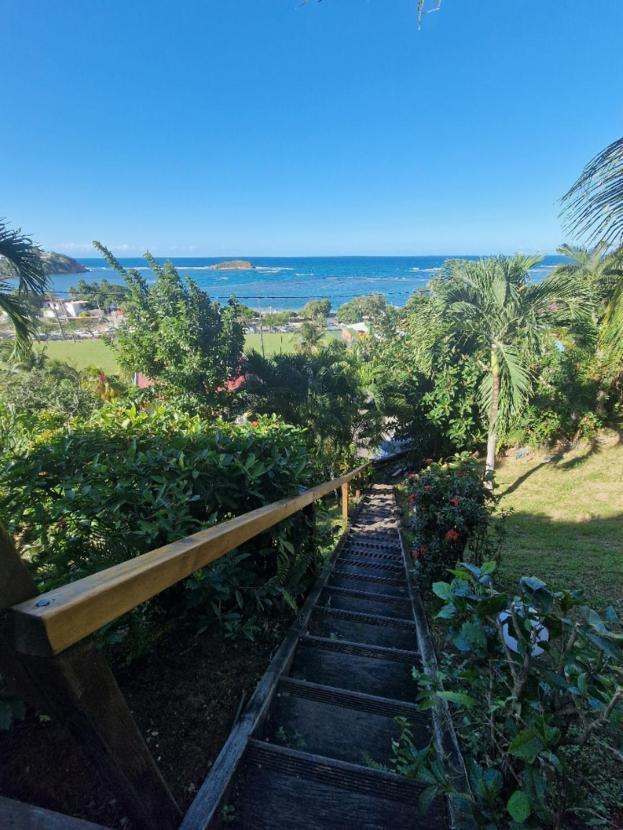 Hotel Le Manguier Morne Pavillon ภายนอก รูปภาพ