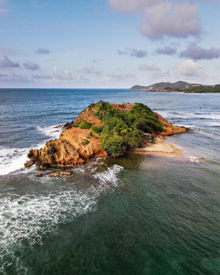 Hotel Le Manguier Morne Pavillon ภายนอก รูปภาพ
