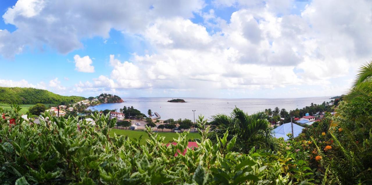 Hotel Le Manguier Morne Pavillon ภายนอก รูปภาพ