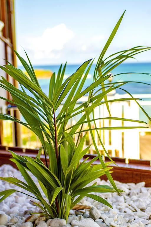 Hotel Le Manguier Morne Pavillon ภายนอก รูปภาพ